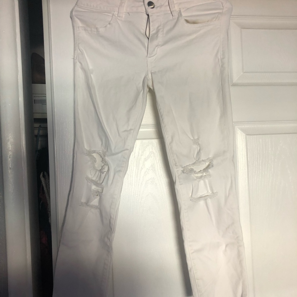 American Eagle Crop